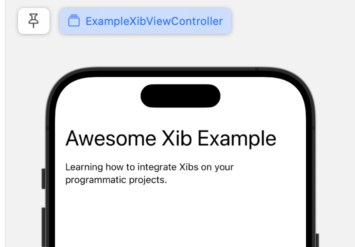 example-final-view-controller-xib